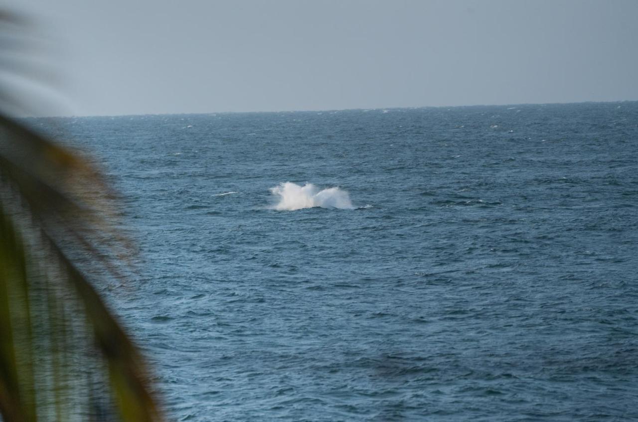Los Corales Máncora Esterno foto