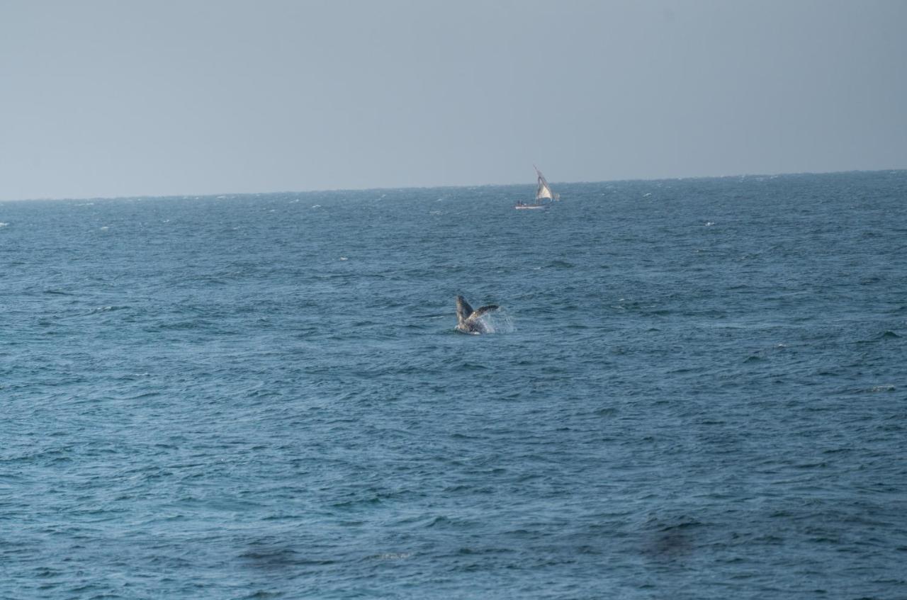 Los Corales Máncora Esterno foto